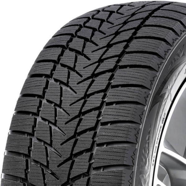 255/55R19 Radar DIMAX ALPINE 111V DB73