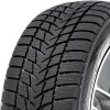 255/55R19 Radar DIMAX ALPINE 111V DB73